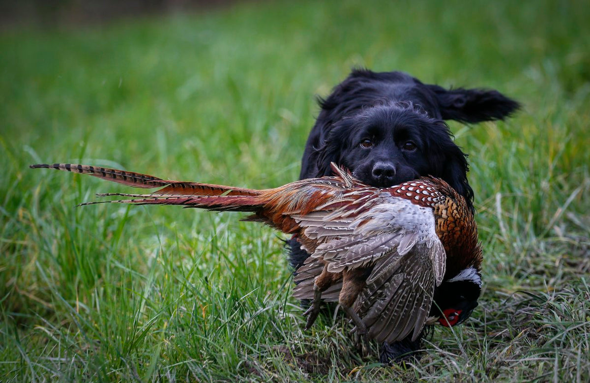 Drumbanagher Estate Shoot