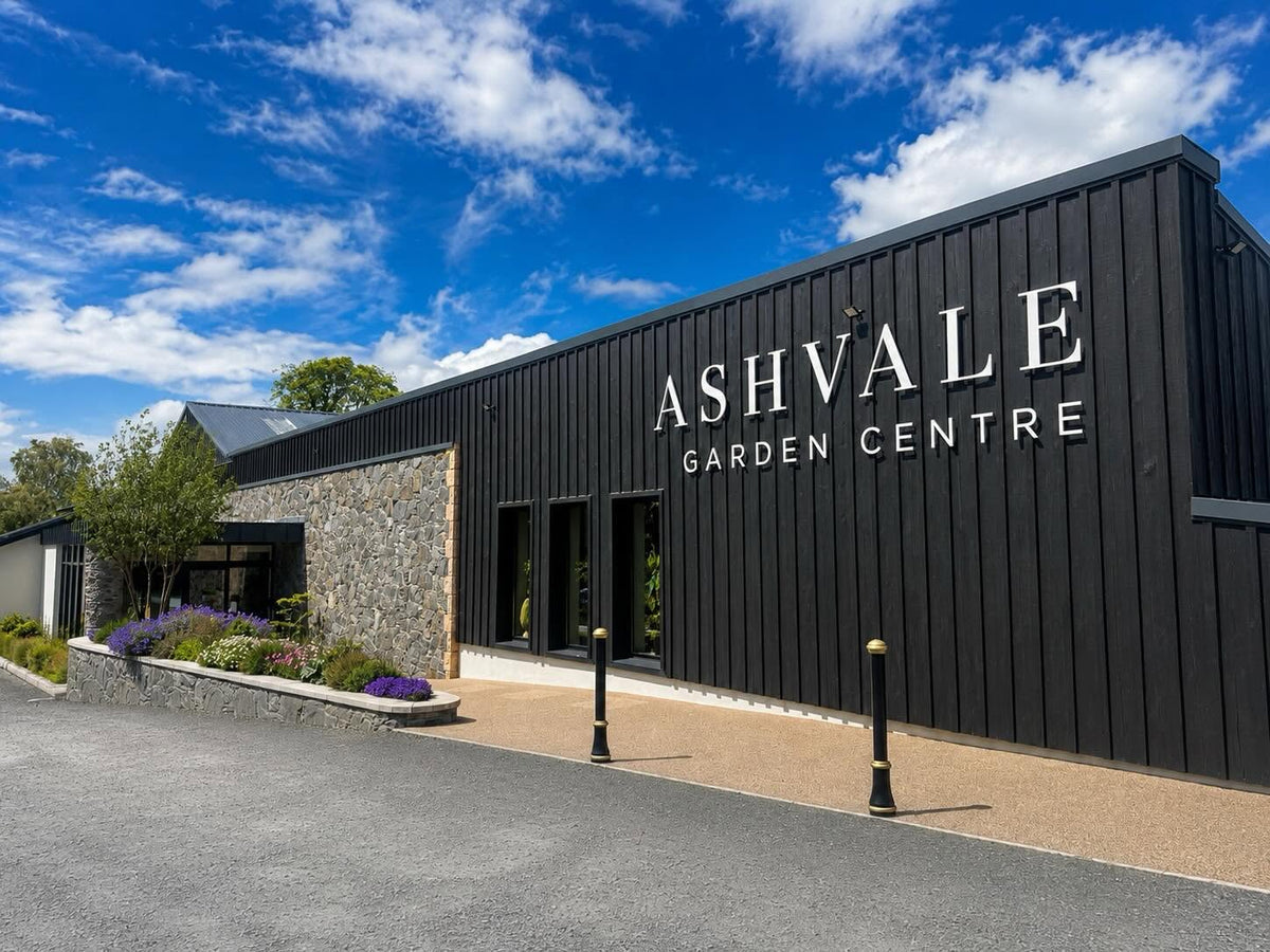 Ashvale Farm Shop & Tea Room