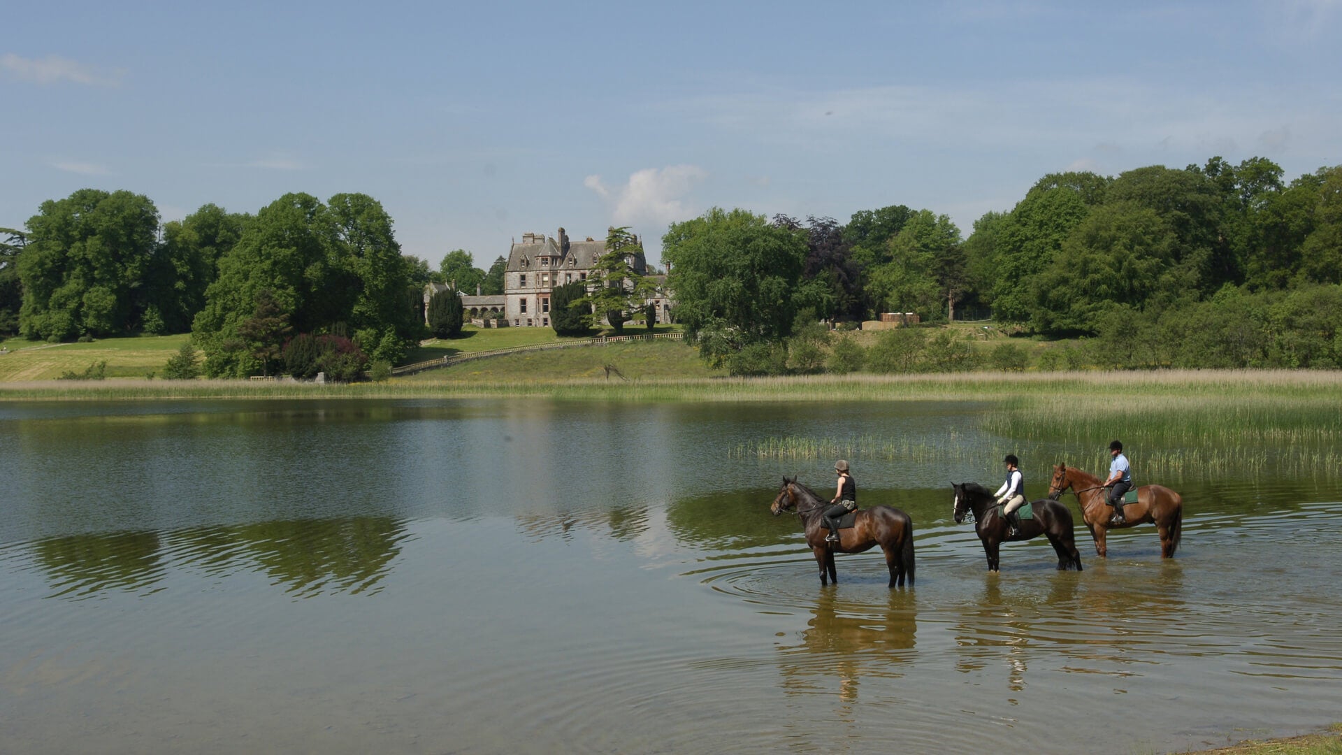 Castle Leslie