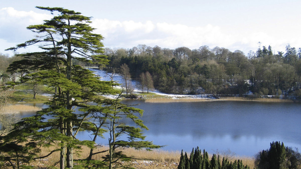 Castle Leslie