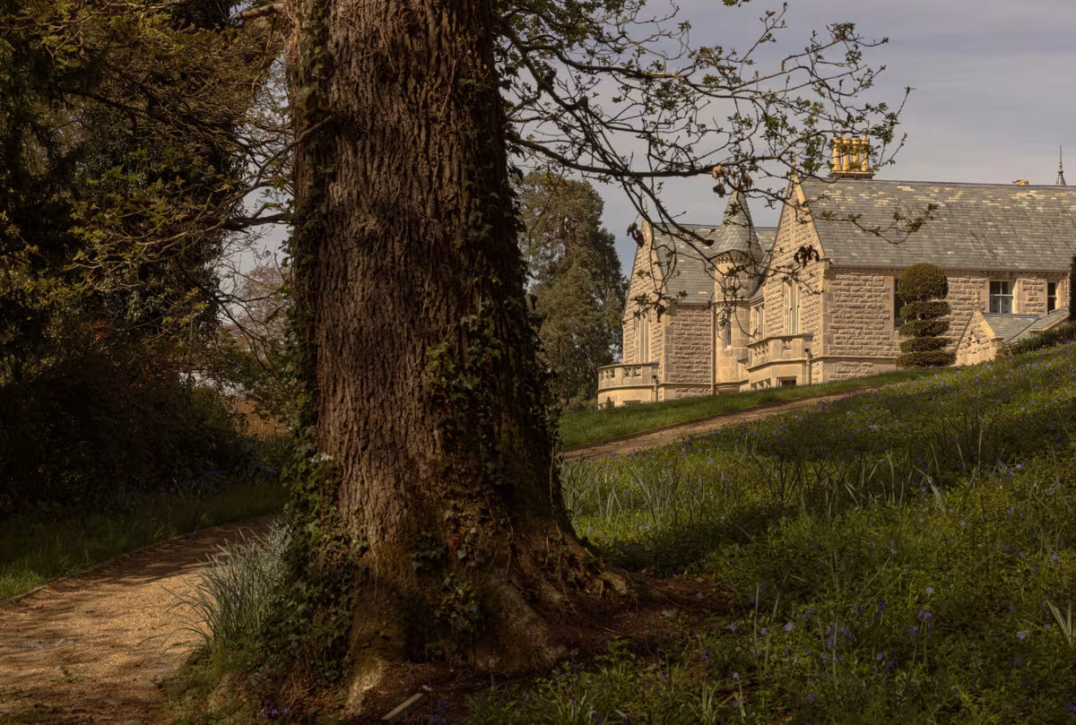 Gilford Castle Estate