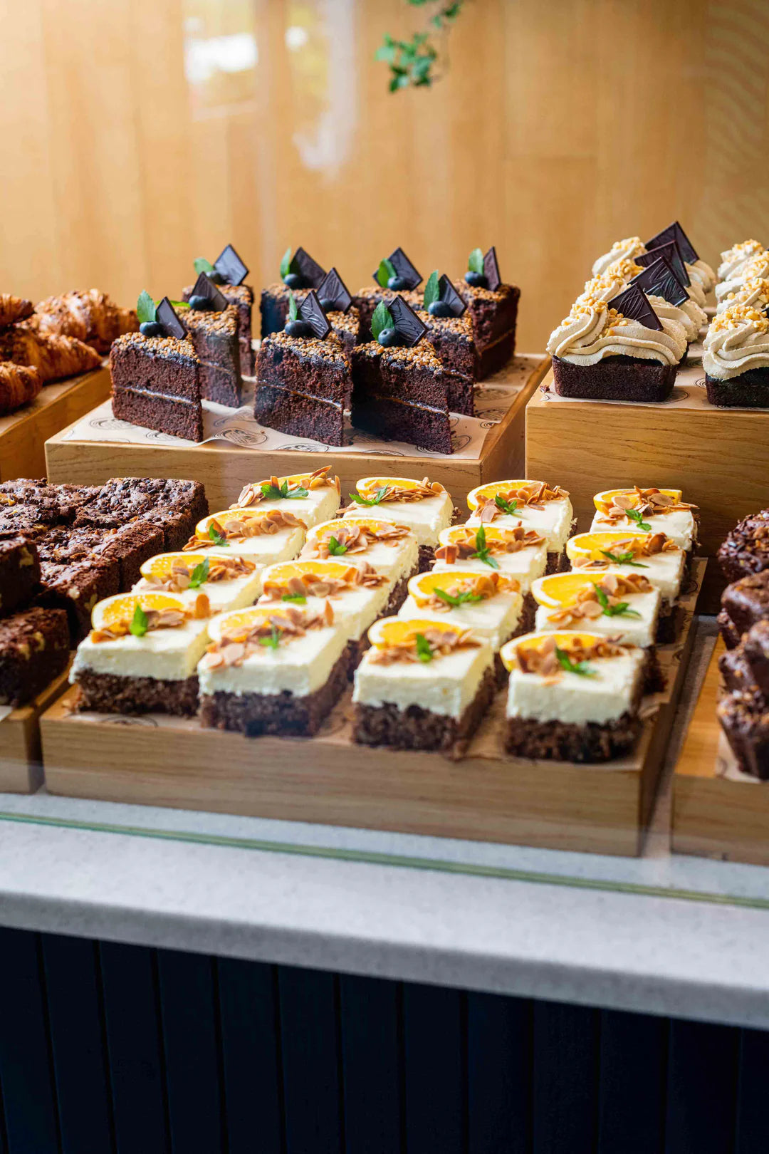 Hazel Mountain Chocolate