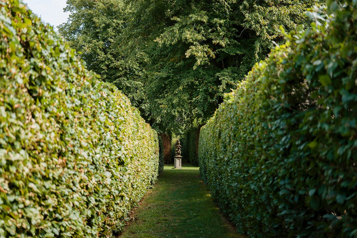 Killruddery House & Gardens