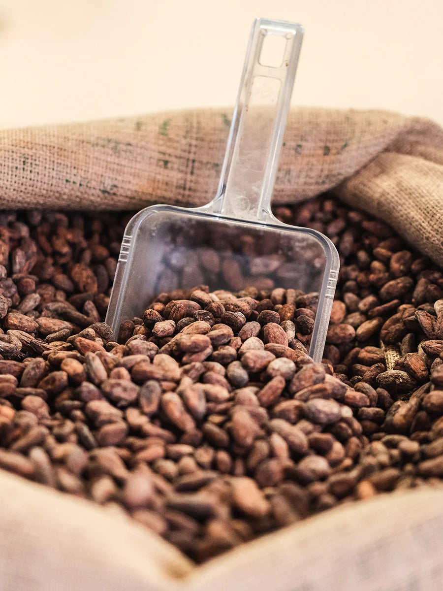 Hazel Mountain Chocolate